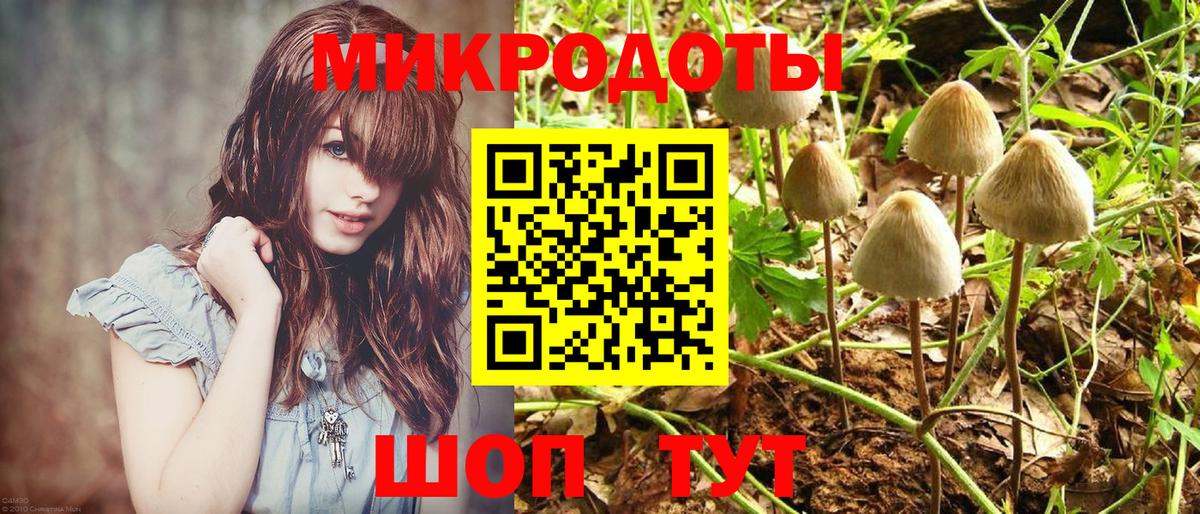 Псилоцибиновые грибы Magic Shrooms Реутов
