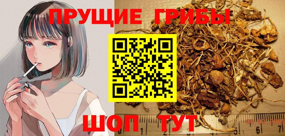 Галлюциногенные грибы MAGIC MUSHROOMS  Галлюциногенные грибы Cubensis  Реутов  Вход с VPN 